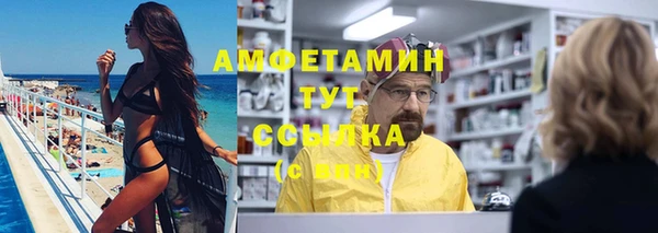 шишки Аркадак