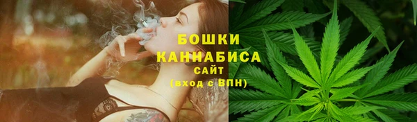 соль ск Сосновый Бор
