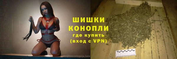 шишки Аркадак