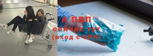 Альфа ПВП Арсеньев