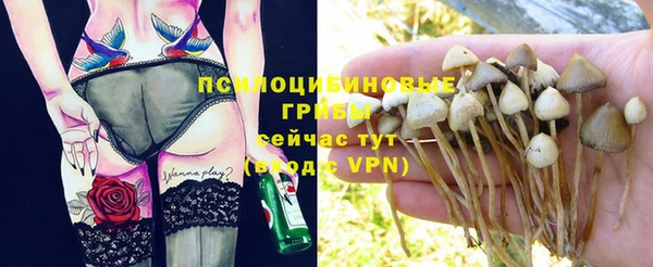 эйфоретик Сосновка