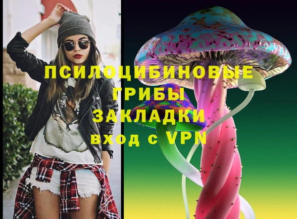 шишки Аркадак