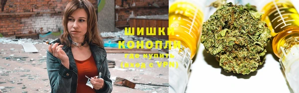 шишки Аркадак
