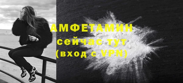 шишки Аркадак