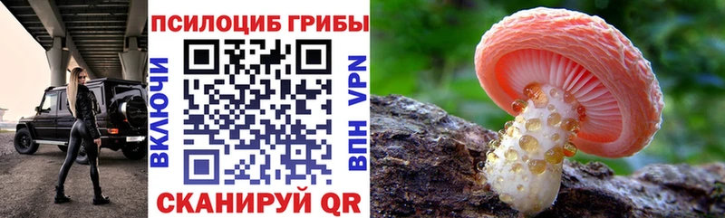 Галлюциногенные грибы прущие грибы  купить наркоту  Подольск 