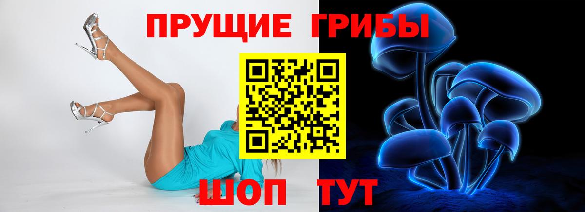 Псилоцибиновые грибы мухоморы  цена   Подольск  Вход с VPN 