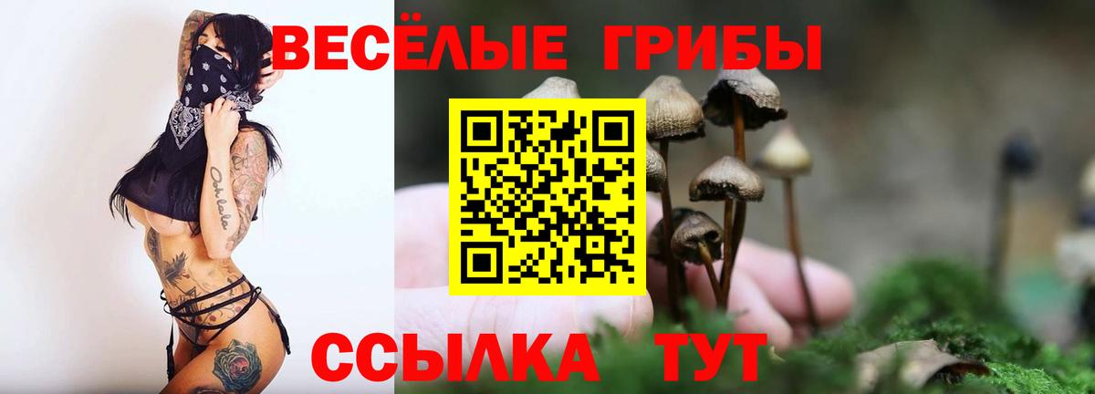 Псилоцибиновые грибы мицелий Подольск